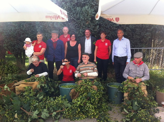 Editiepajot_affligem_verslag_hopdag_foto_jacky_delcour