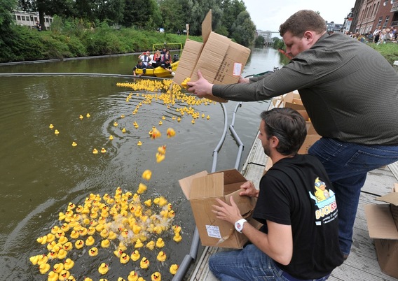 Editiepajot_ninove_verslag_duck_race_2013_foto_jacky_delcour