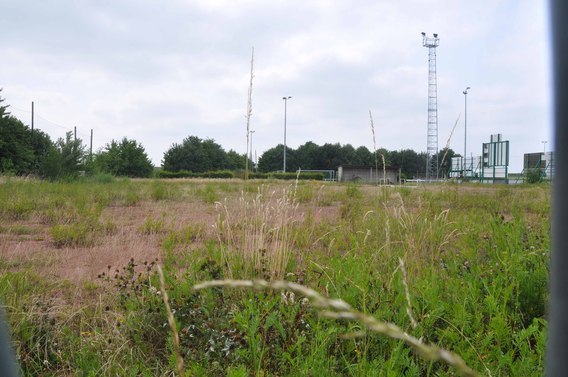 Editiepajot_pepingen_voetbalveld_foto_merckx