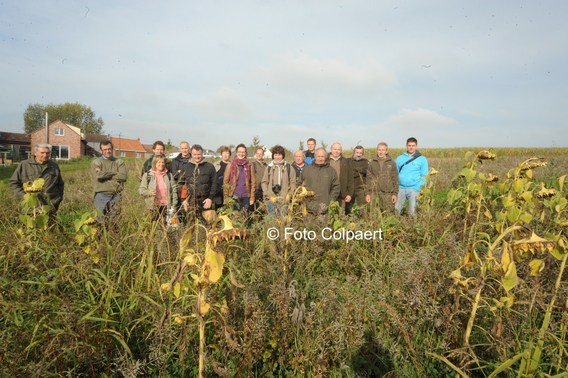 Editiepajot_galmaarden_akkervogels_2_foto_marc_colpaert__kopie_