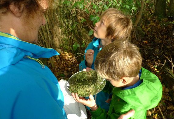Editiepajot_affligem_gezinsbond_natuurpunt_wandelen_foto_jacky_delcour__1_
