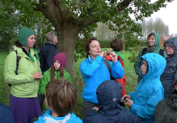 Editiepajot_affligem_gezinsbond_natuurpunt_wandelen_foto_jacky_delcour__2_