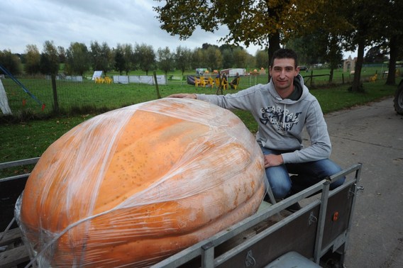 Foto_marc_colpaert_pompoen