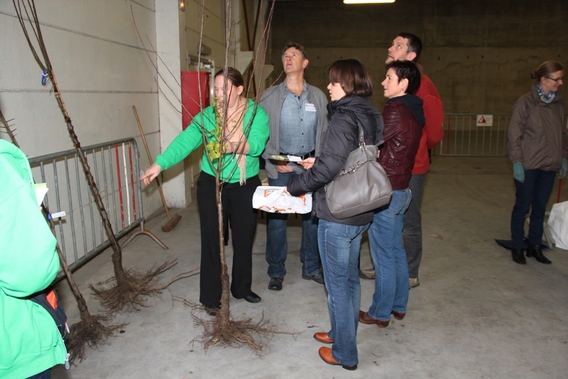 Editiepajot_affligem_geboortebomen_2013_foto_jacky_delcour__5_