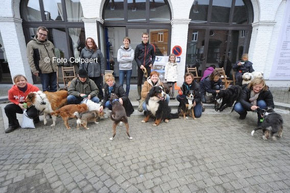 Editiepajot_galmaarden_honden_foto_marc_colpaert__kopie_