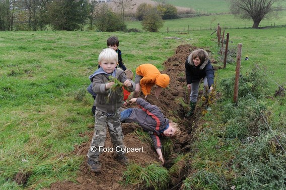 Editiepajot_gooik_aanplanten_2_foto_marc_colpaert__kopie_