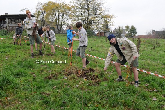 Editiepajot_gooik_aanplanten_4_foto_marc_colpaert__kopie_