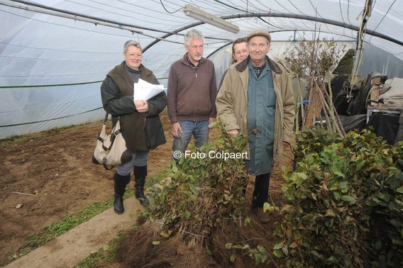 Editiepajot_gooik_planten_foto_marc_colpaert__kopie_