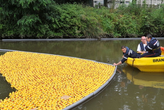 Editiepajot_ninove_winnaars_duckrace_foto_jacky_delcour__2_