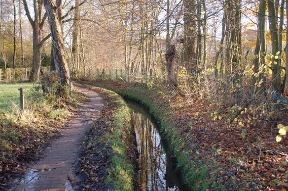 Editiepajot_bart_devill___halderbosbeken