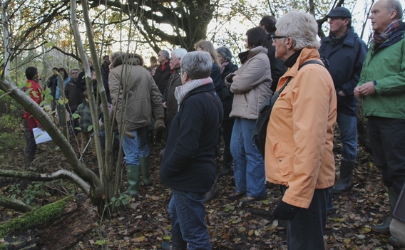 Editiepajot_affligem_koudenbergbeekvallei_foto_jacky_delcour__5_