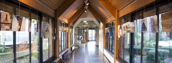 Editiepajot_halle