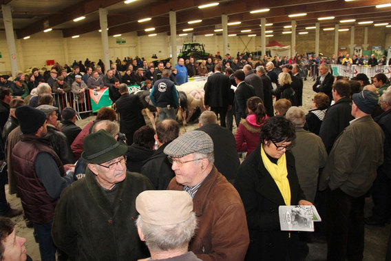 Editiepajot-jacky-delcour-interprovinciale-fokveebeurs26012014