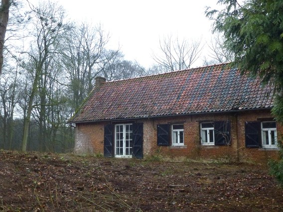 Colpaert_gooik_boswoning_1__kopie_