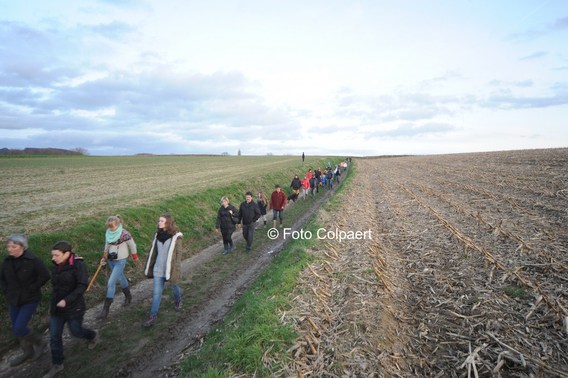 Editiepajot_galmaarden_walm_1_foto_marc_colpaert__kopie_