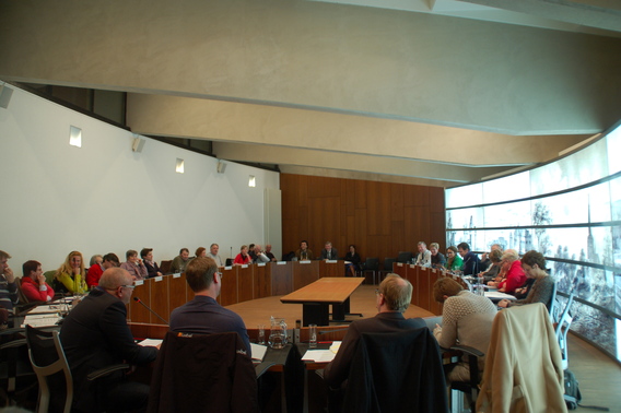 Editiepajot_bart_devill___gemeenteraad_feb14