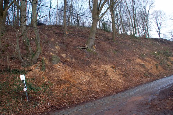 Editiepajot_beersel_kappingen