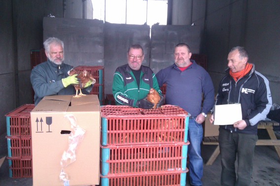 Kippenkwb2014_imag0288