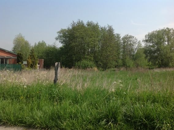 Speelbos_2013-05-07_11