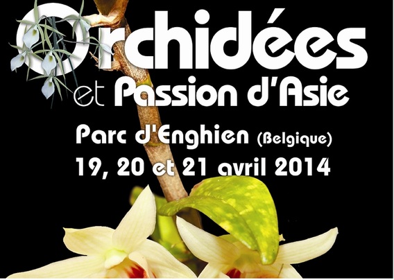 Orchide__n__2014