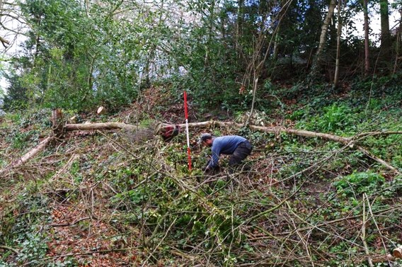 Editiepajot_bart_devill___aanplanting_dikkemierweg