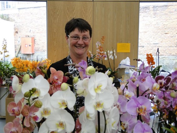 Orchidee__n_en_bonsai_in_edingen_2014__2_