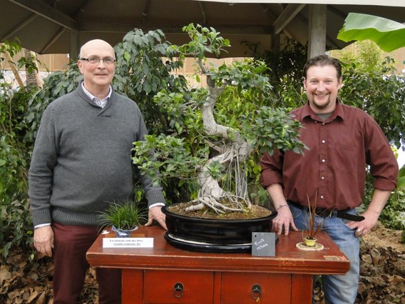 Orchidee__n_en_bonsai_in_edingen_2014__1_