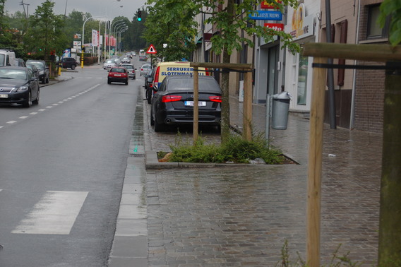 Editiepajot_bart_devill___werken_alsemberg