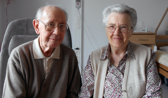 Leeuw_briljant_cumps