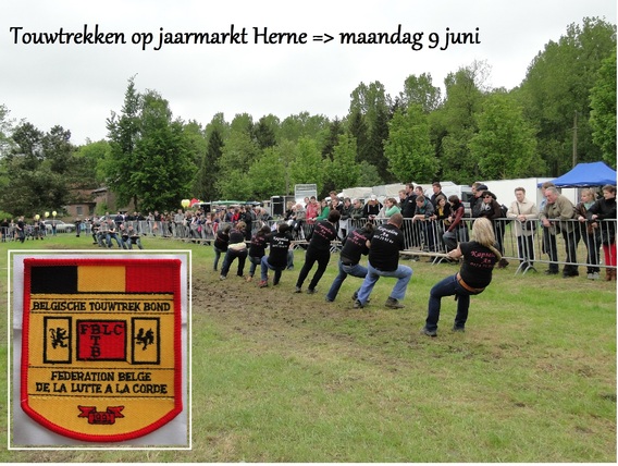 Jaarmarkt_20_mei_2013_g