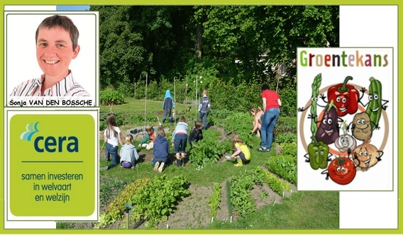 Groentekrans_cera_3