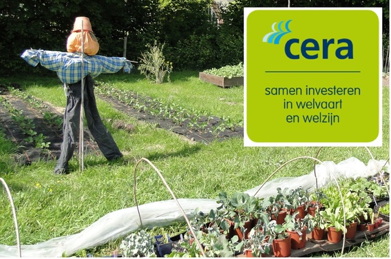 Groentekrans_cera_1