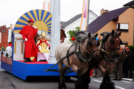 Editiepajot-paul-onselaere-sint-paulusprocessie-04062014