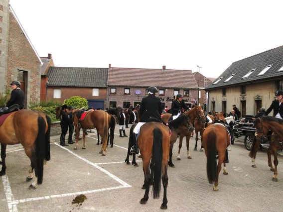 Paardenprocessie_zondag_15_juni_2014__4_