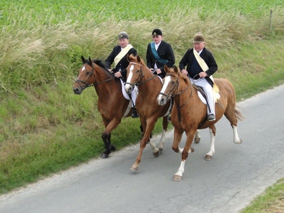 Paardenprocessie_zondag_15_juni_2014__8_