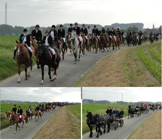 Paardenprocessie_zondag_15_juni_2014__1_