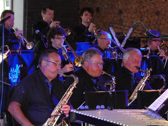 Mark_river_band_2014__5_