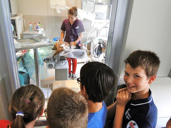 De_bron_op_bezoek_in_de_dierenkliniek_veterinair_kwadrant___1_