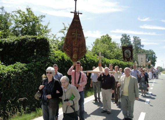 Processie_bever_jni_2014__8_