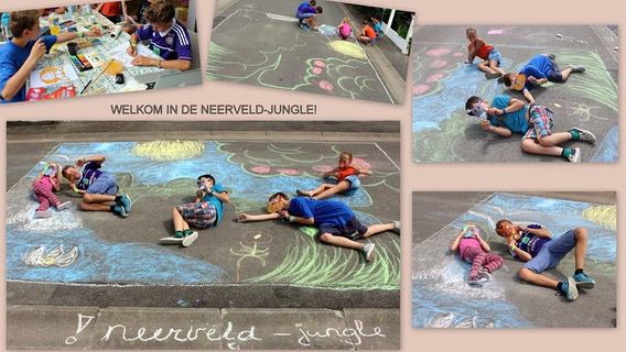 Speelstraatneerveld