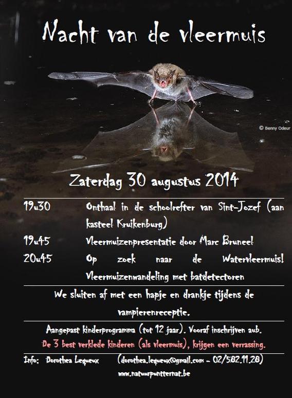 Nachtvleermuis2014