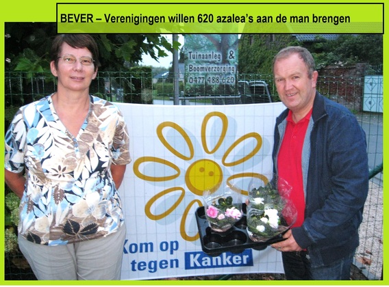 Bever_azalea_verkoop_voor_kotk