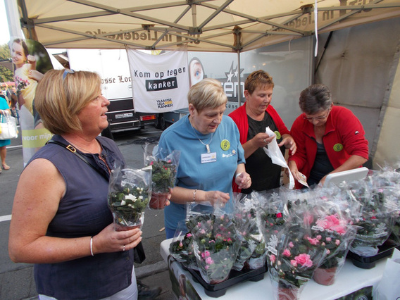 Editiepajot-jacky-delcour-azalea_s-liedekerke1-21092014