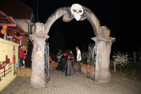 Editiepajot_jacky_delcour_halloweentocht_dol-fijn4_18102014