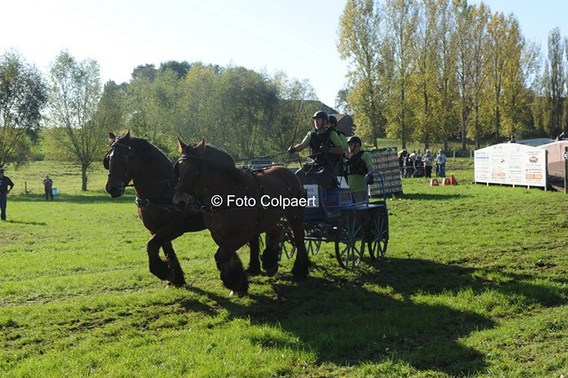 Editiepajot_galmaarden_paarden_1_foto_marc_colpaert__kopie_