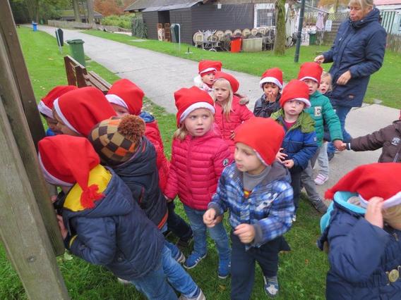 Editiepajot_2014-10-24_dol-fijn_de_kabouters