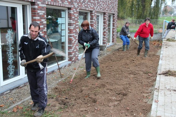 Editiepajot_2014-10-25_de_bij_nieuwe_speelweide_008a