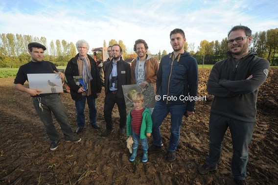 Editiepajot_gooik_akkervogels_foto_marc_colpaert__kopie_