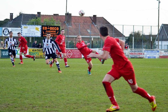 Editiepajot_leeuw_1_foto_emile