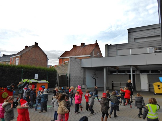 Pelikaan_in_bever_2014__5_